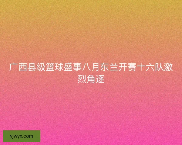 广西县级篮球盛事八月东兰开赛十六队激烈角逐 广西县级篮球盛事八月东兰开赛十六队激烈角逐