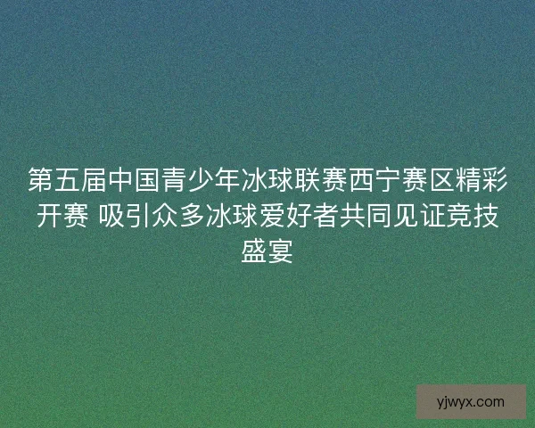 第五届中国青少年冰球联赛西宁赛区精彩开赛 吸引众多冰球爱好者共同见证竞技盛宴 第五届中国青少年冰球联赛西宁赛区精彩开赛 吸引众多冰球爱好者共同见证竞技盛宴